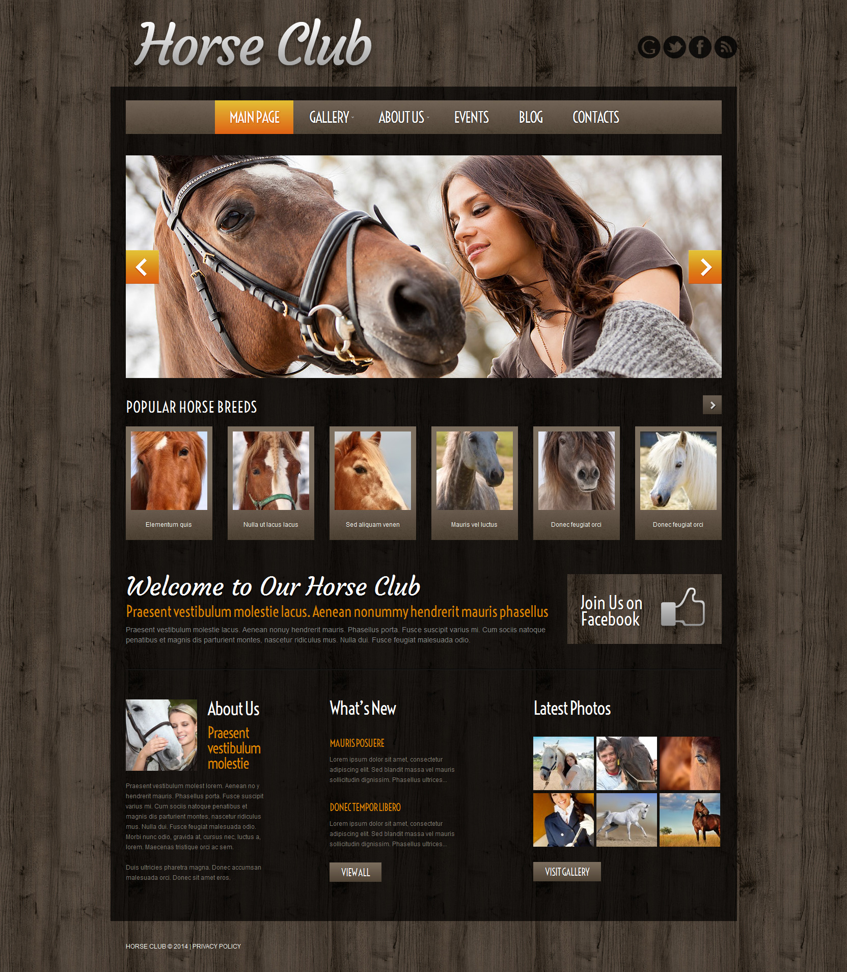 Horse Breeding Farm WordPress Theme