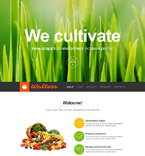 Muse Templates 52282