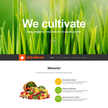 Company Business Muse Templates 52282