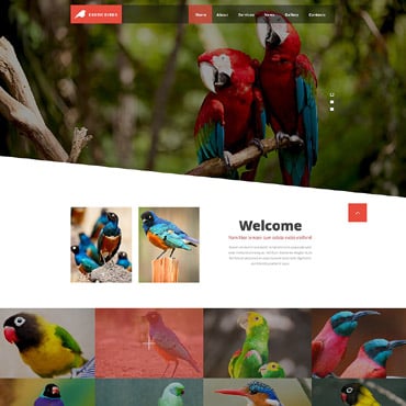 Birds Bird Responsive Website Templates 52570