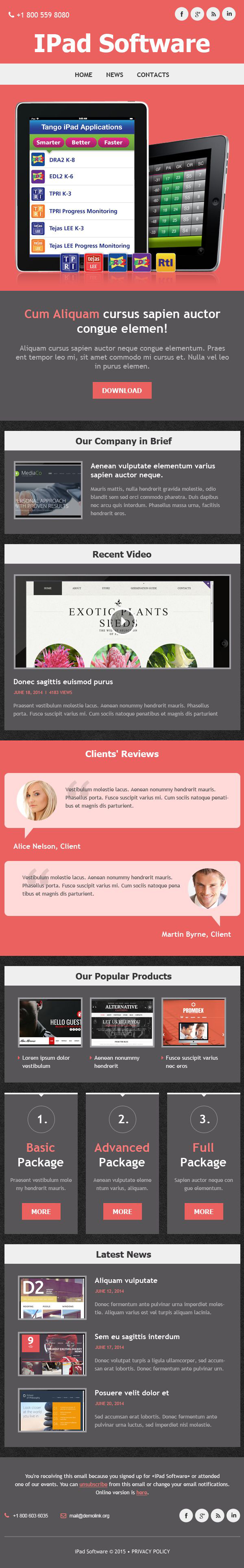 Software Company Responsive Newsletter Template