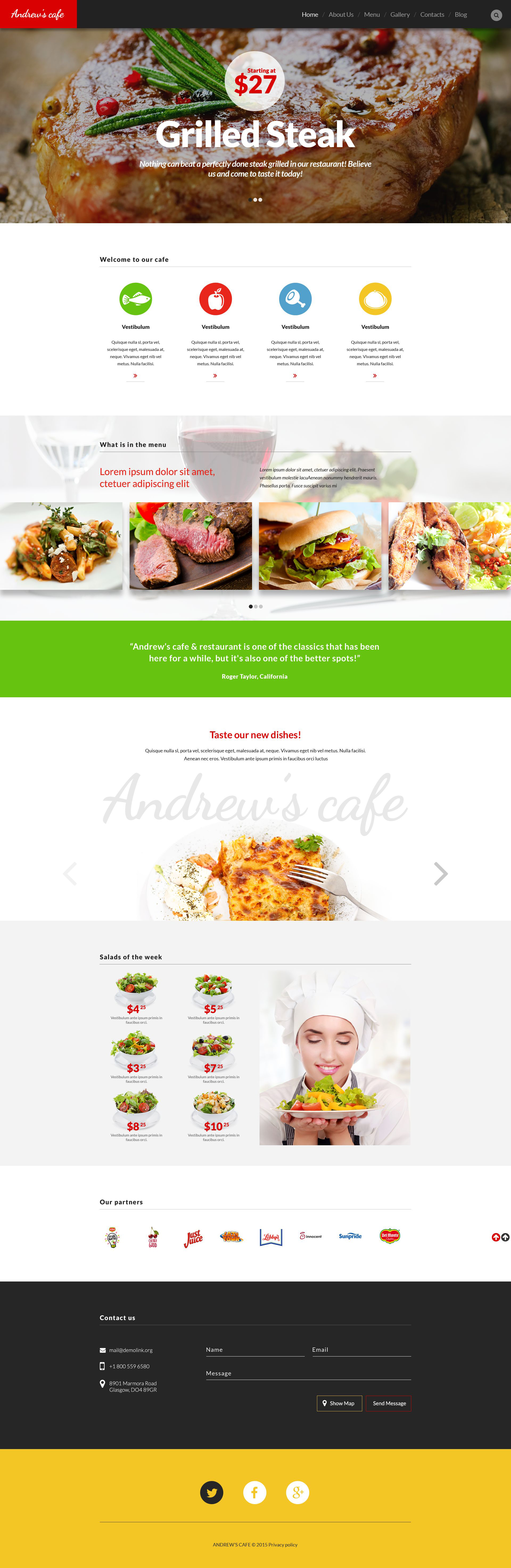 WordPress Themes