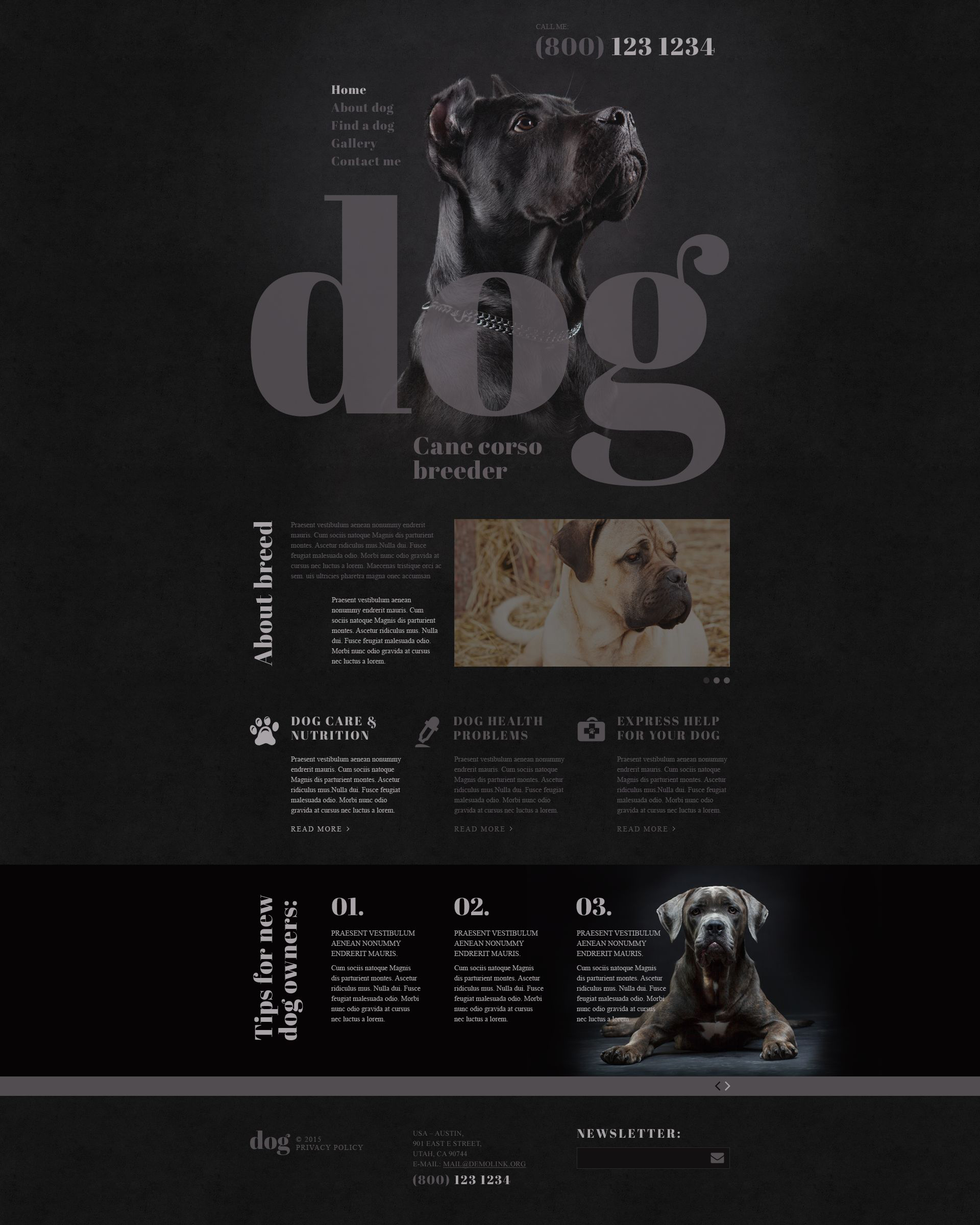 Dog Breeder Website Template