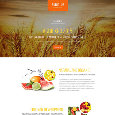 Company Business Landing Page Templates 53562