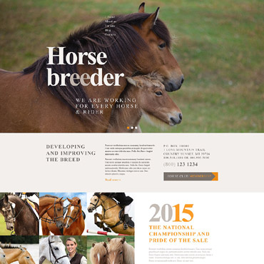 Horses Breeder WordPress Themes 53762