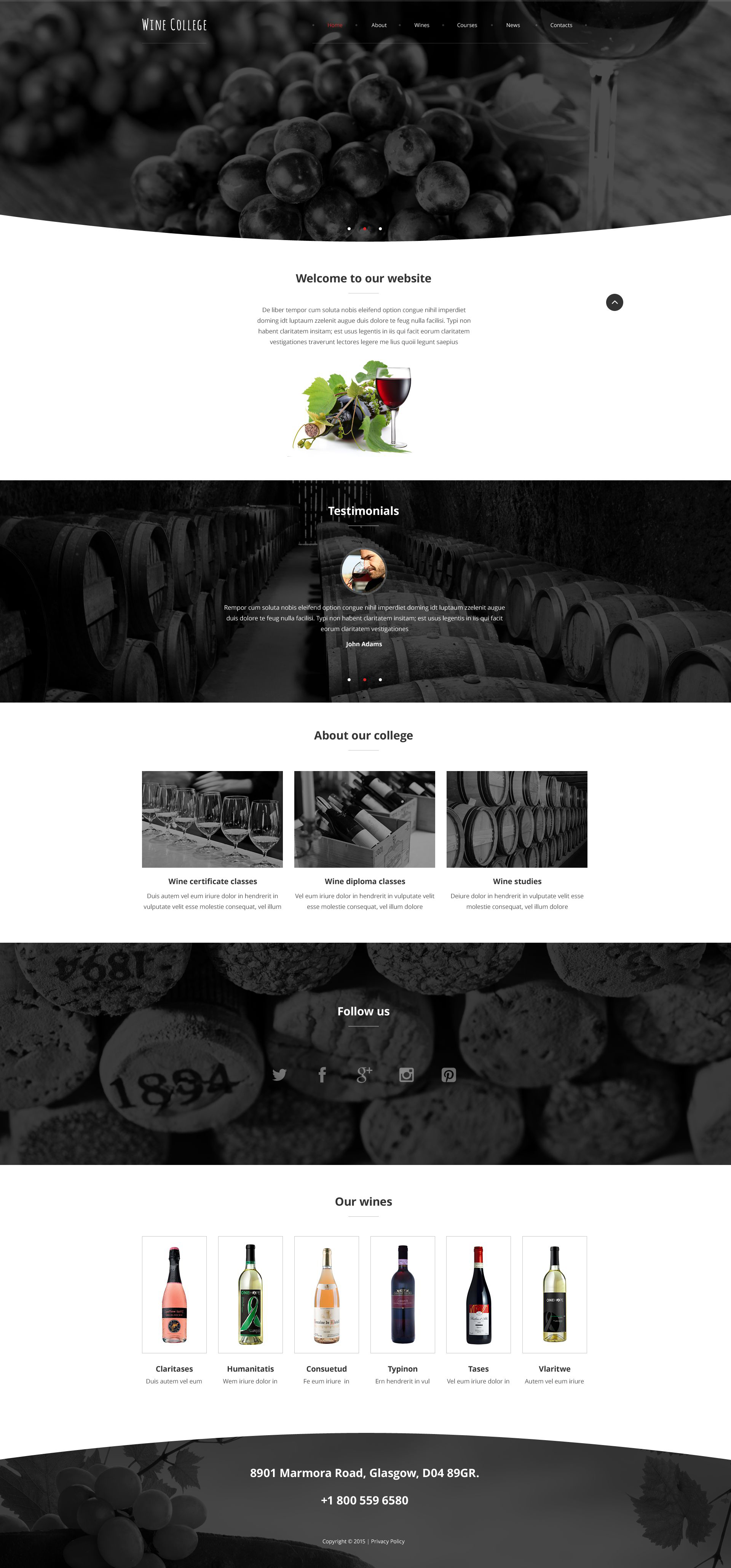 Exquisite Wine Website Template