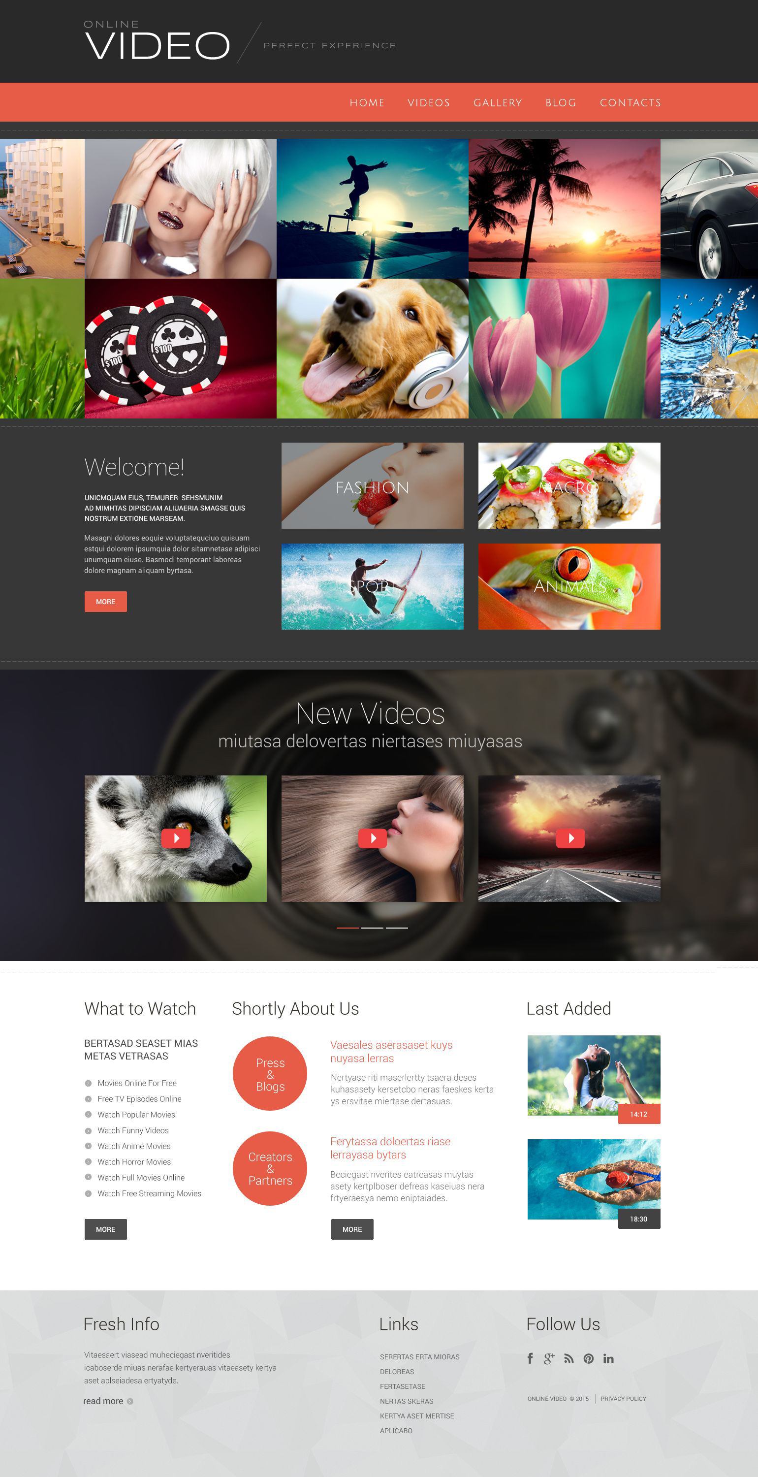 Video Blog WordPress Theme