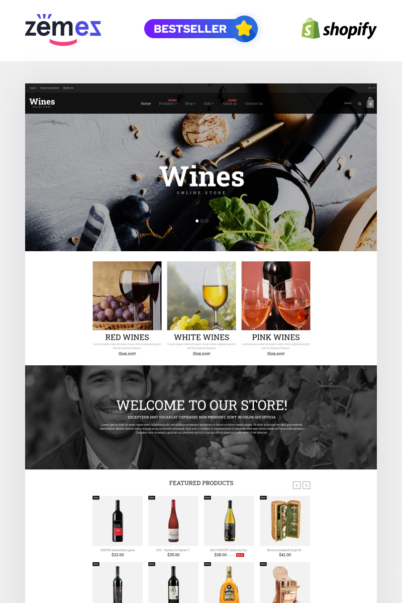 Shopify Themes