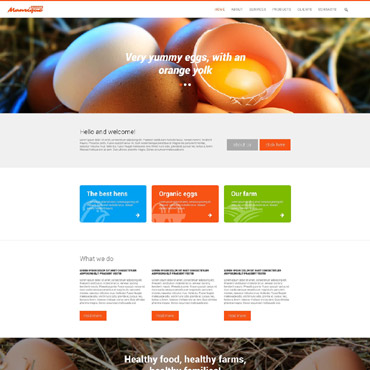 Eggs Poultry Responsive Website Templates 55053