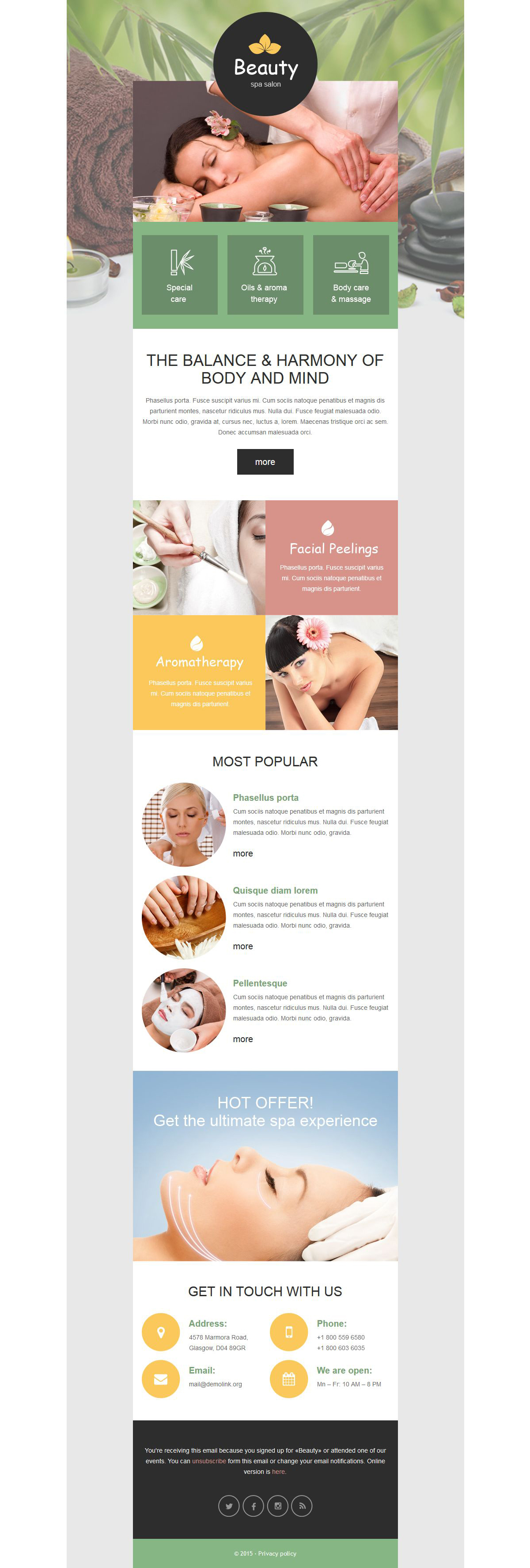 Spa Accessories Responsive Newsletter Template