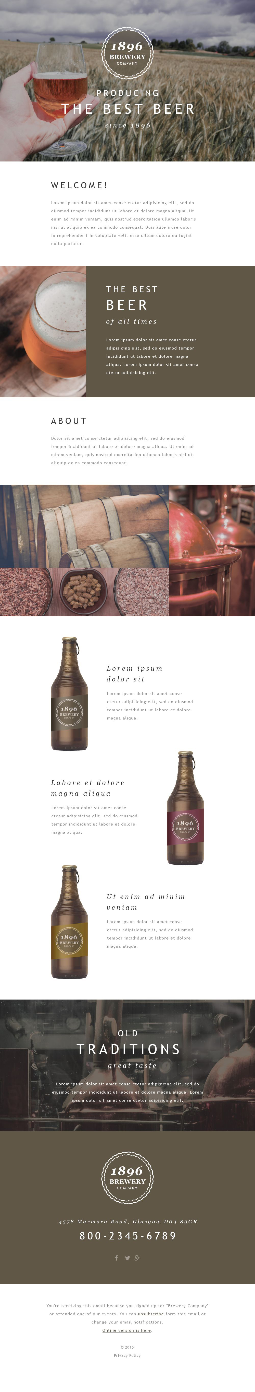 Brewery Responsive Newsletter Template