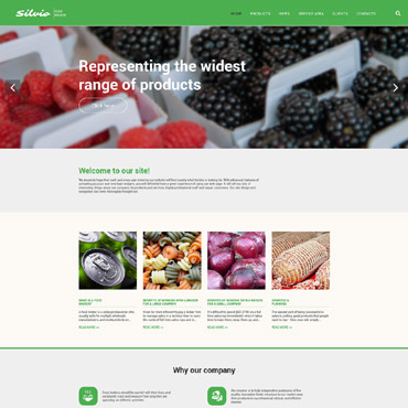 Market Food Responsive Website Templates 55565