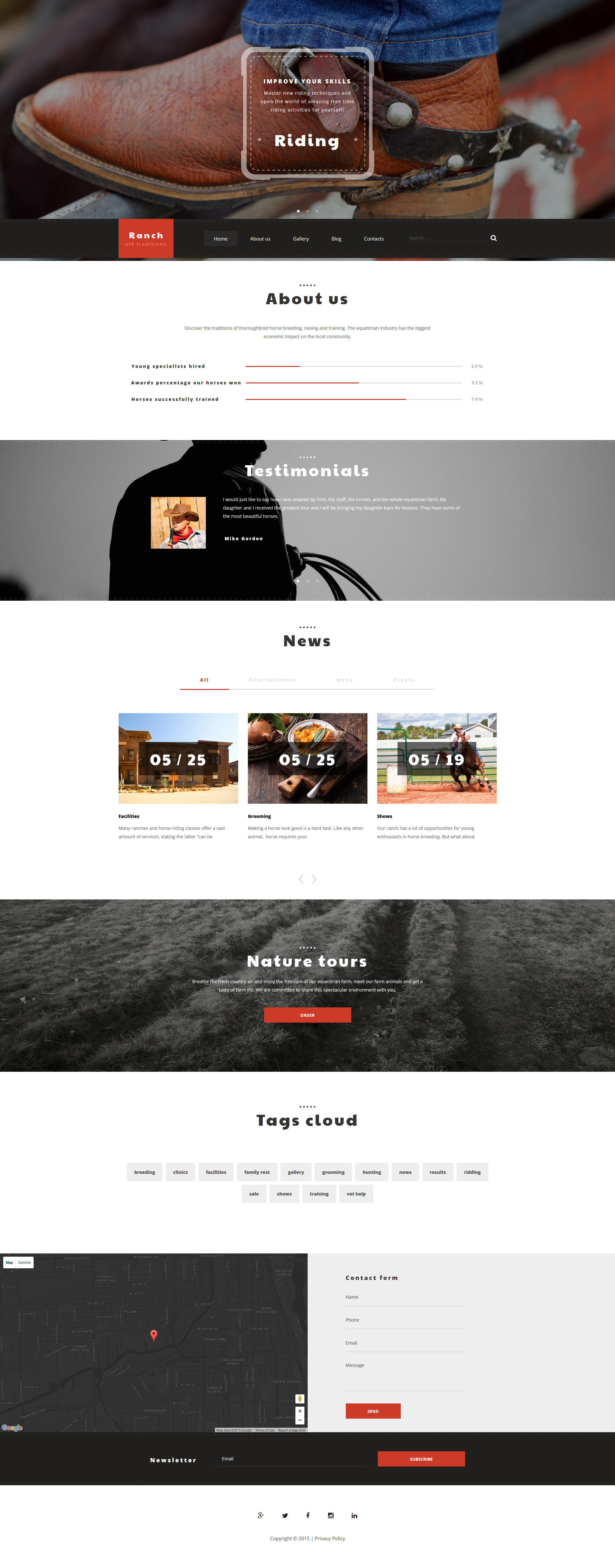 WordPress Themes