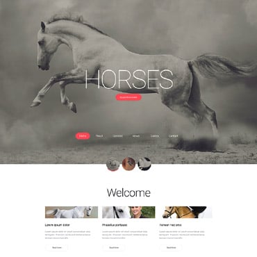 Farm Horse Responsive Website Templates 56066