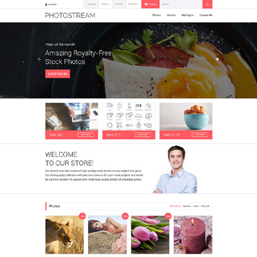 Images Bank OpenCart Templates 57638