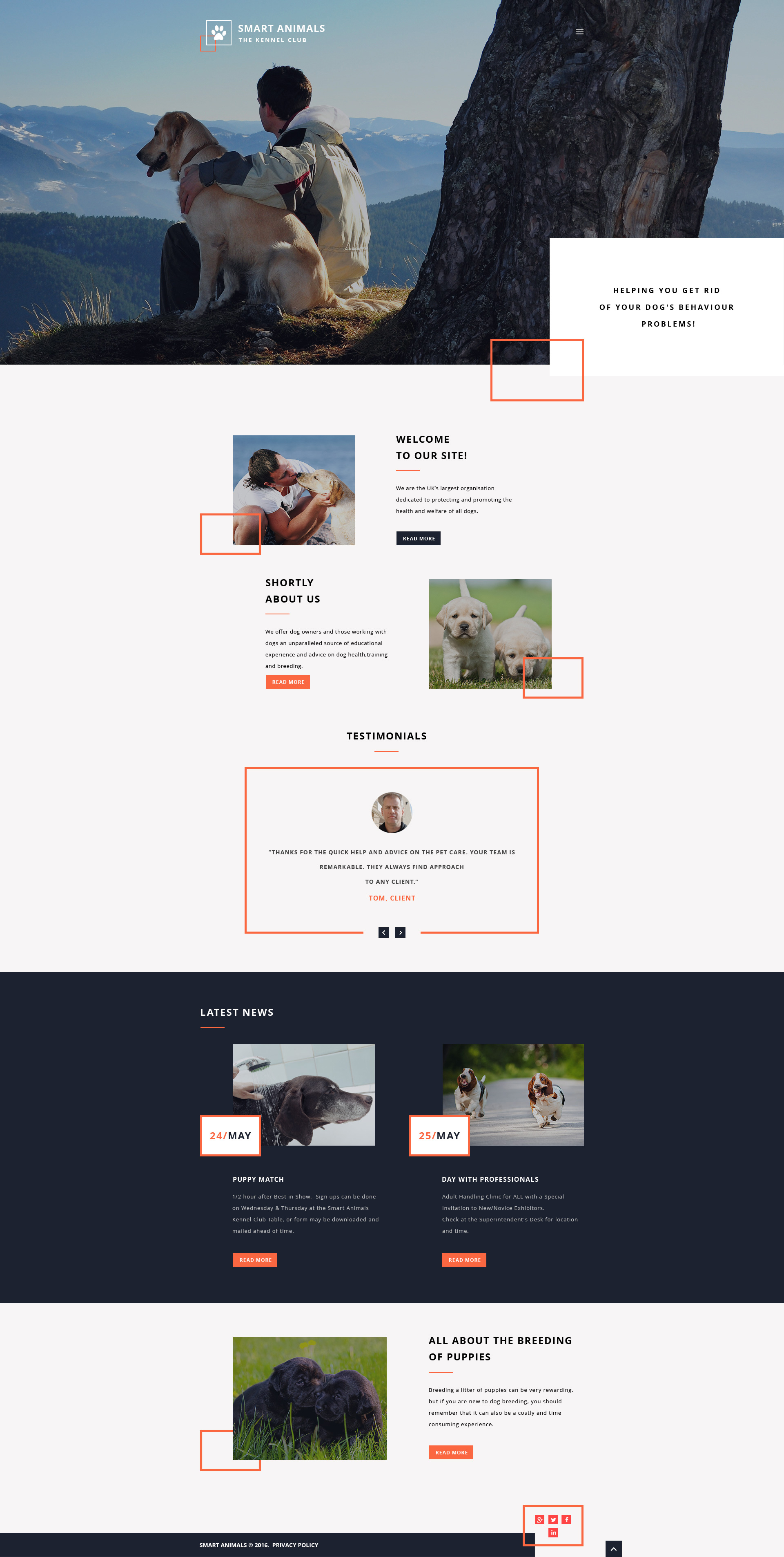 Website Templates