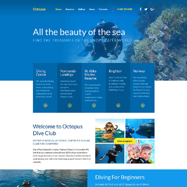 Diving Club Responsive Website Templates 58099