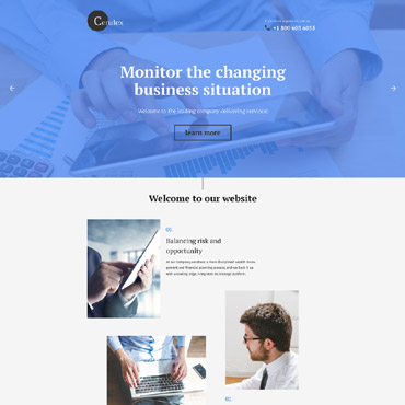 Business Consultant Landing Page Templates 58435