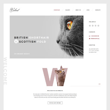 Cats Breeder Responsive Website Templates 58574
