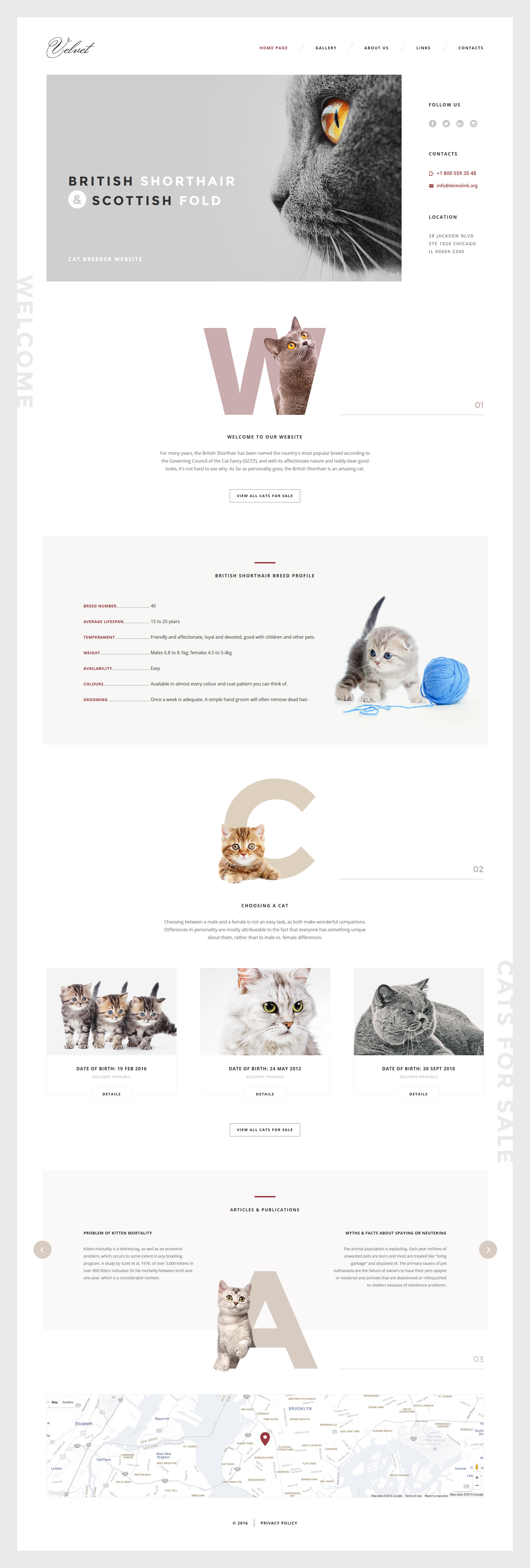 Cat Responsive Website Template