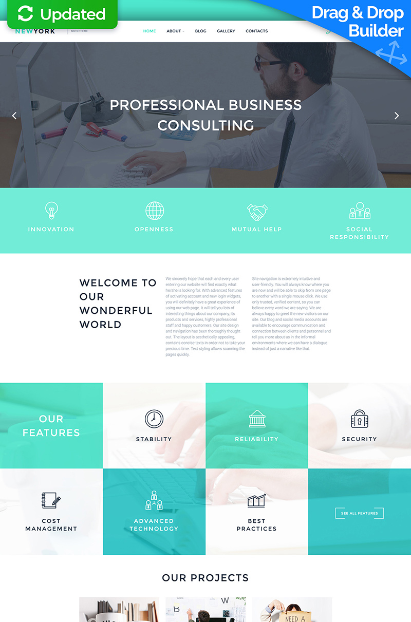 New York - Consulting Company Moto CMS 3 Template