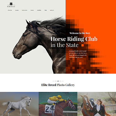 Horses Club WordPress Themes 60085