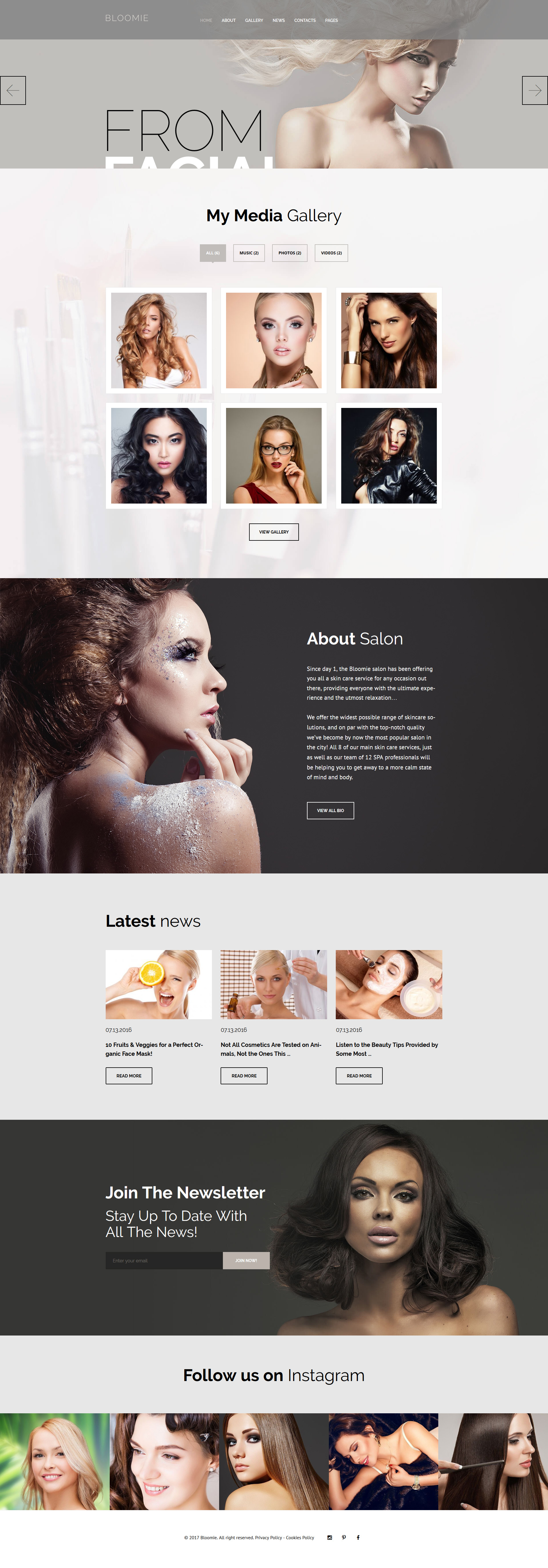 WordPress Themes