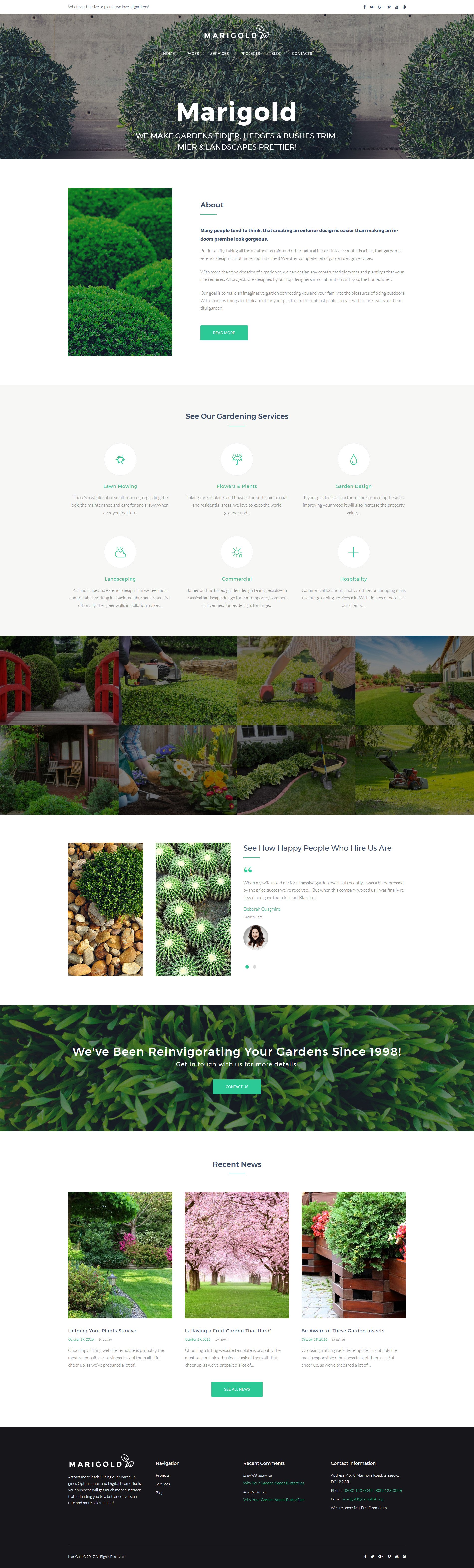 WordPress Themes