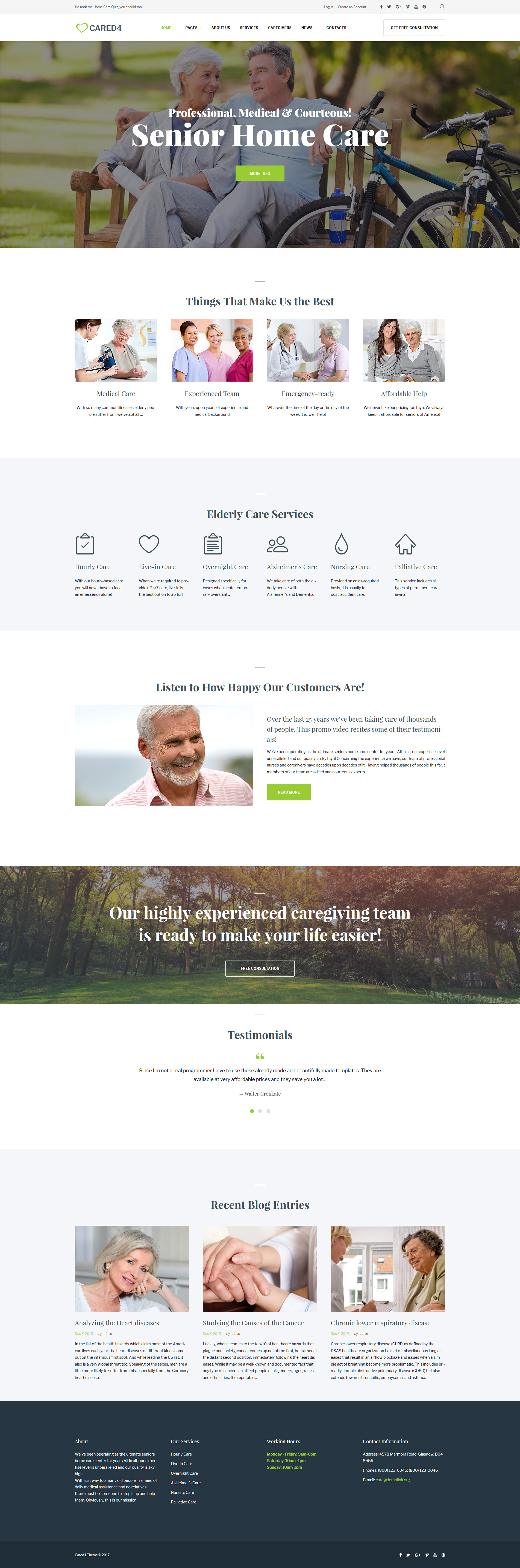 WordPress Themes