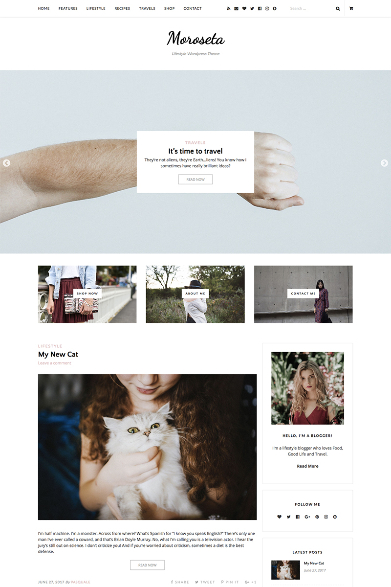 WordPress Themes