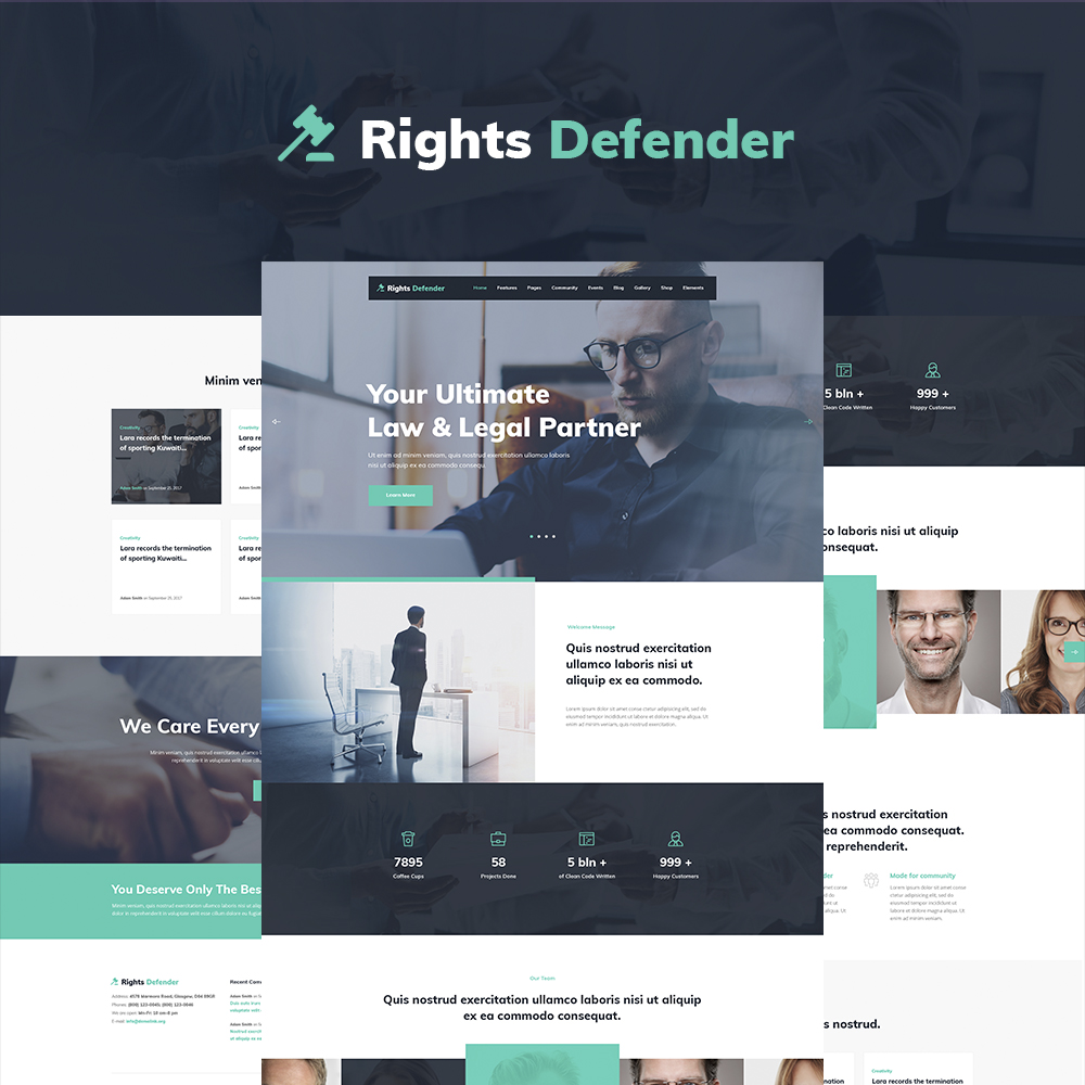 WordPress Themes