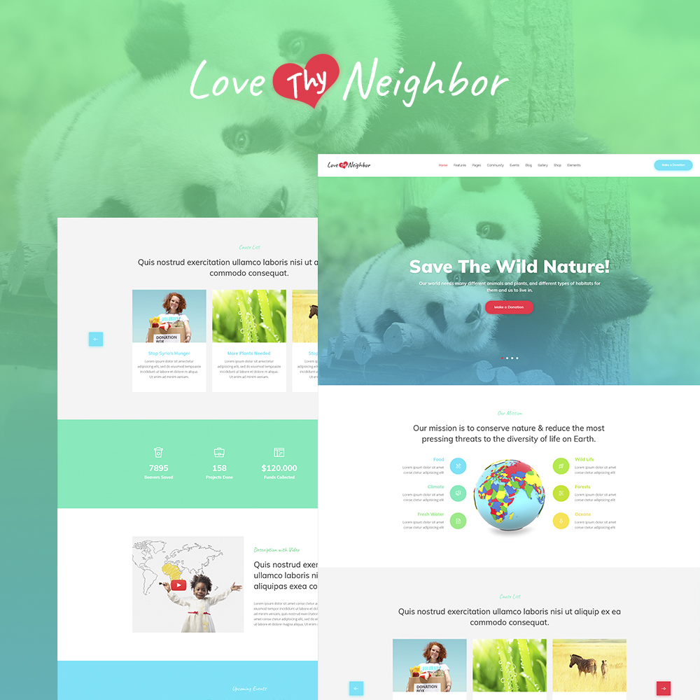 WordPress Themes