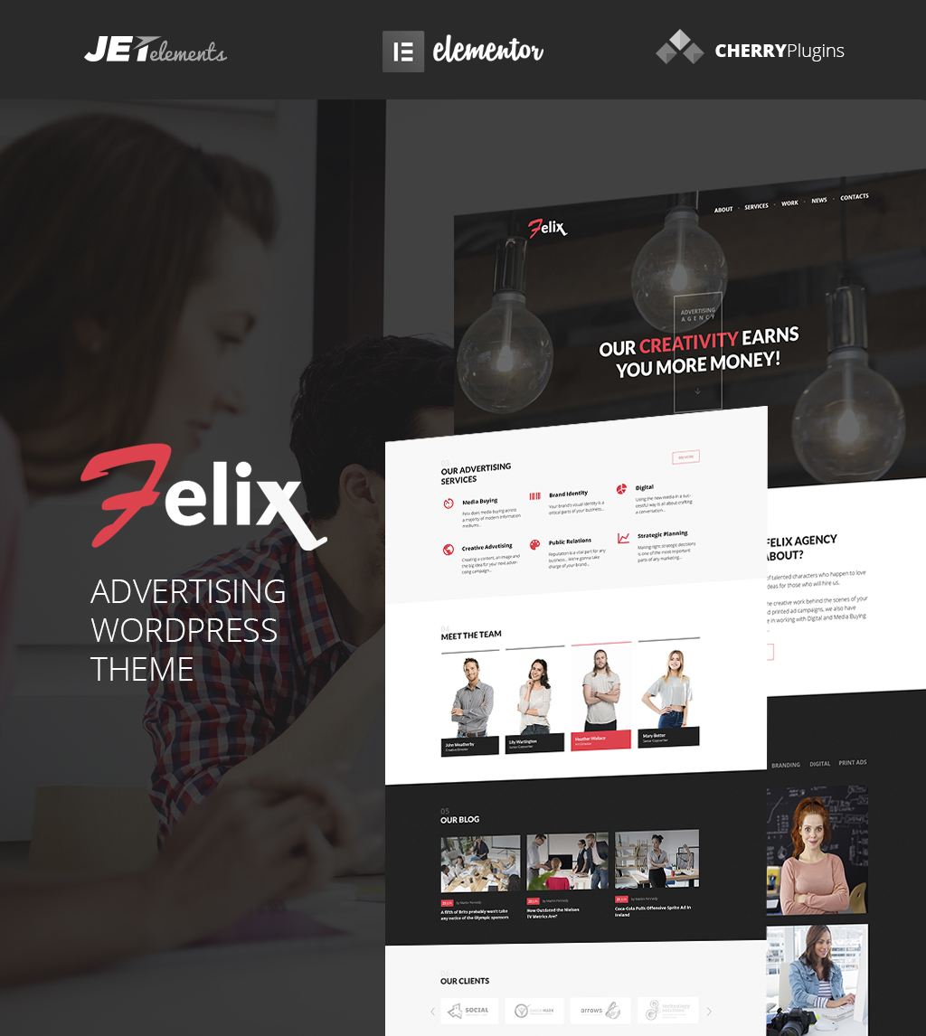 WordPress Themes