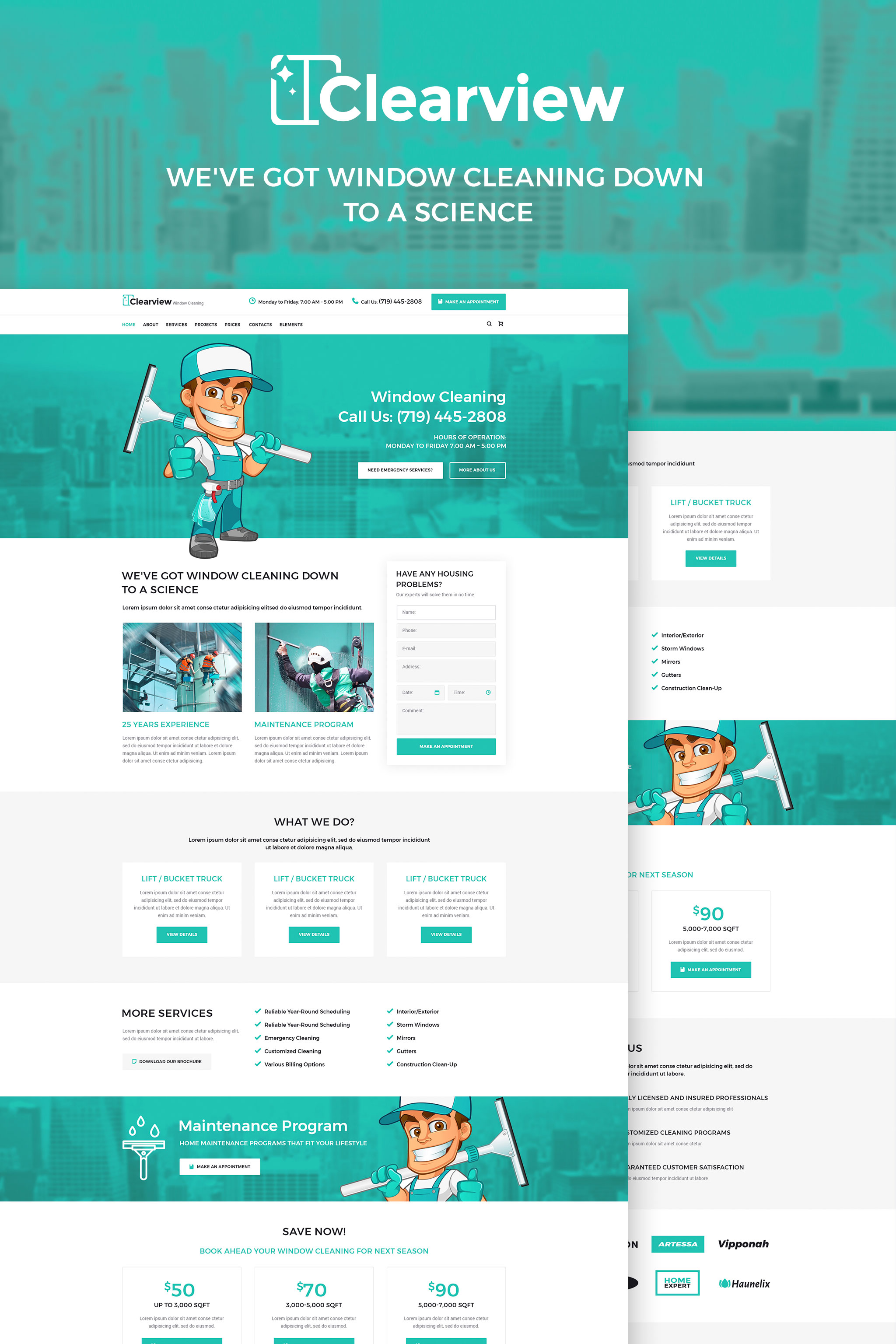 WordPress Themes