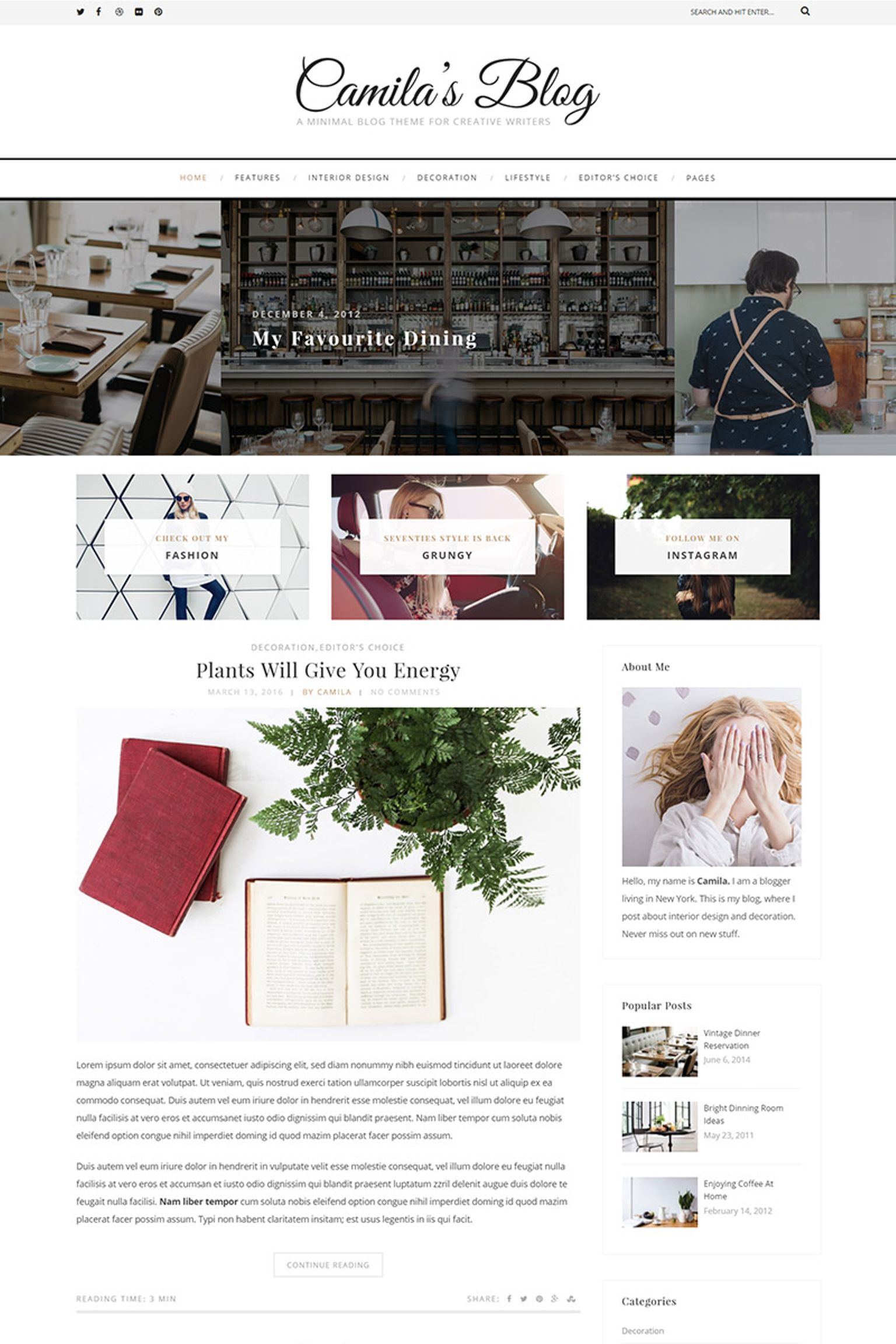 WordPress Themes