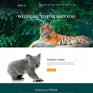 Zoo Pet Moto CMS 3 Templates 66407