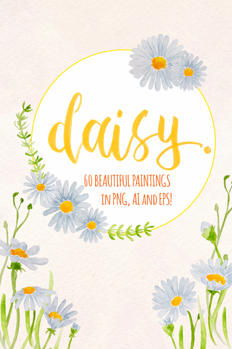 60 Watercolor Daisy Painted Graphics - Illustration