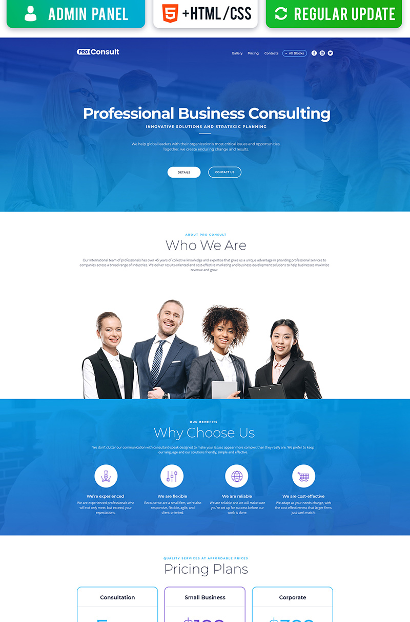 Pro Consult - Business MotoCMS 3 Landing Page Template