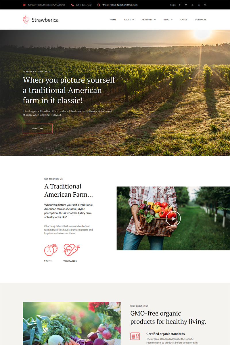 Strawberica - Vegan Farm Responsive WordPress Theme
