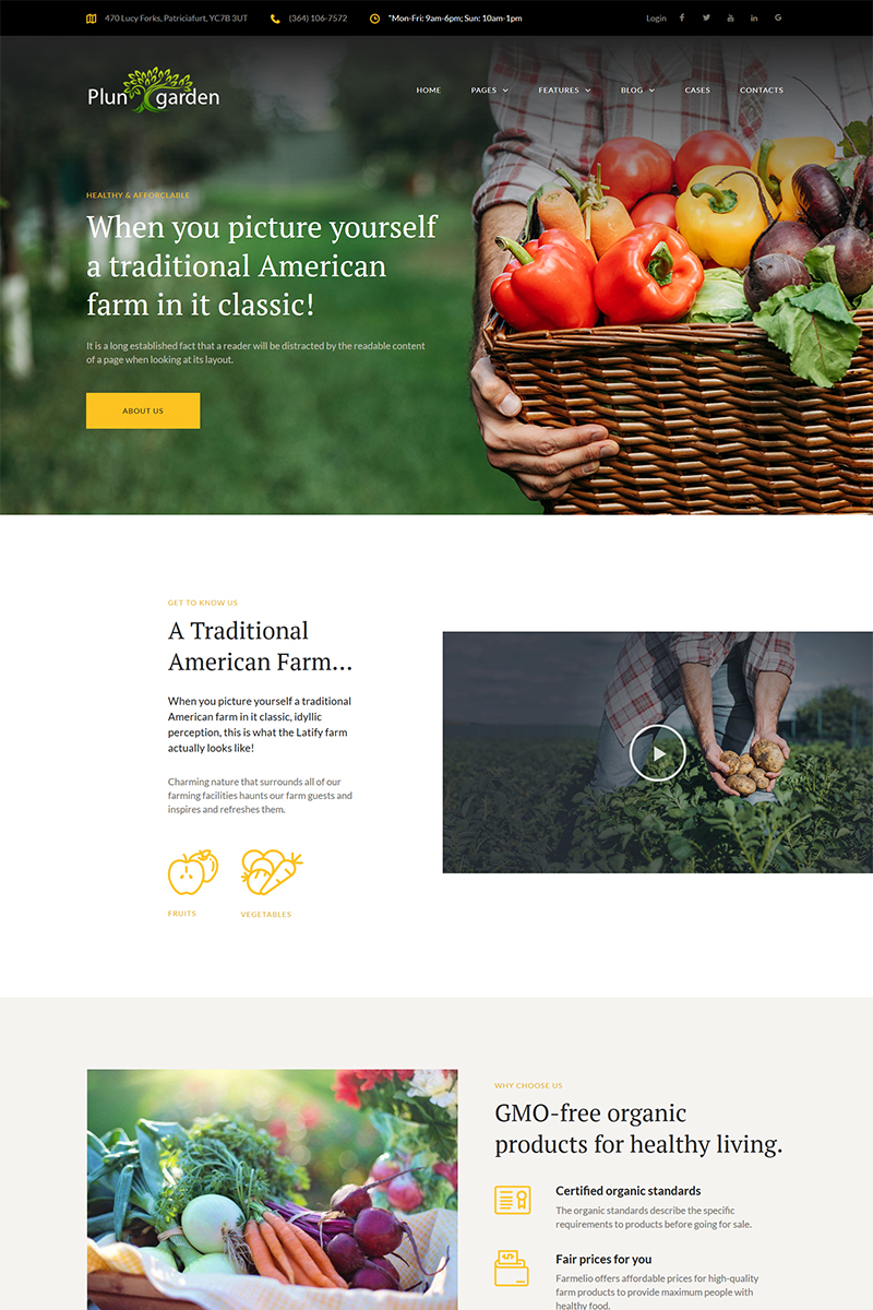 WordPress Themes