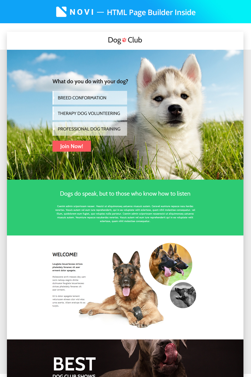 Dog Club - Dog Breeder Compatible with Novi Builder Landing Page Template