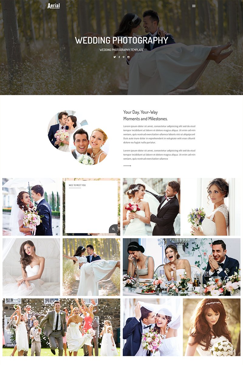 Aerial - Wedding Photography Website Template