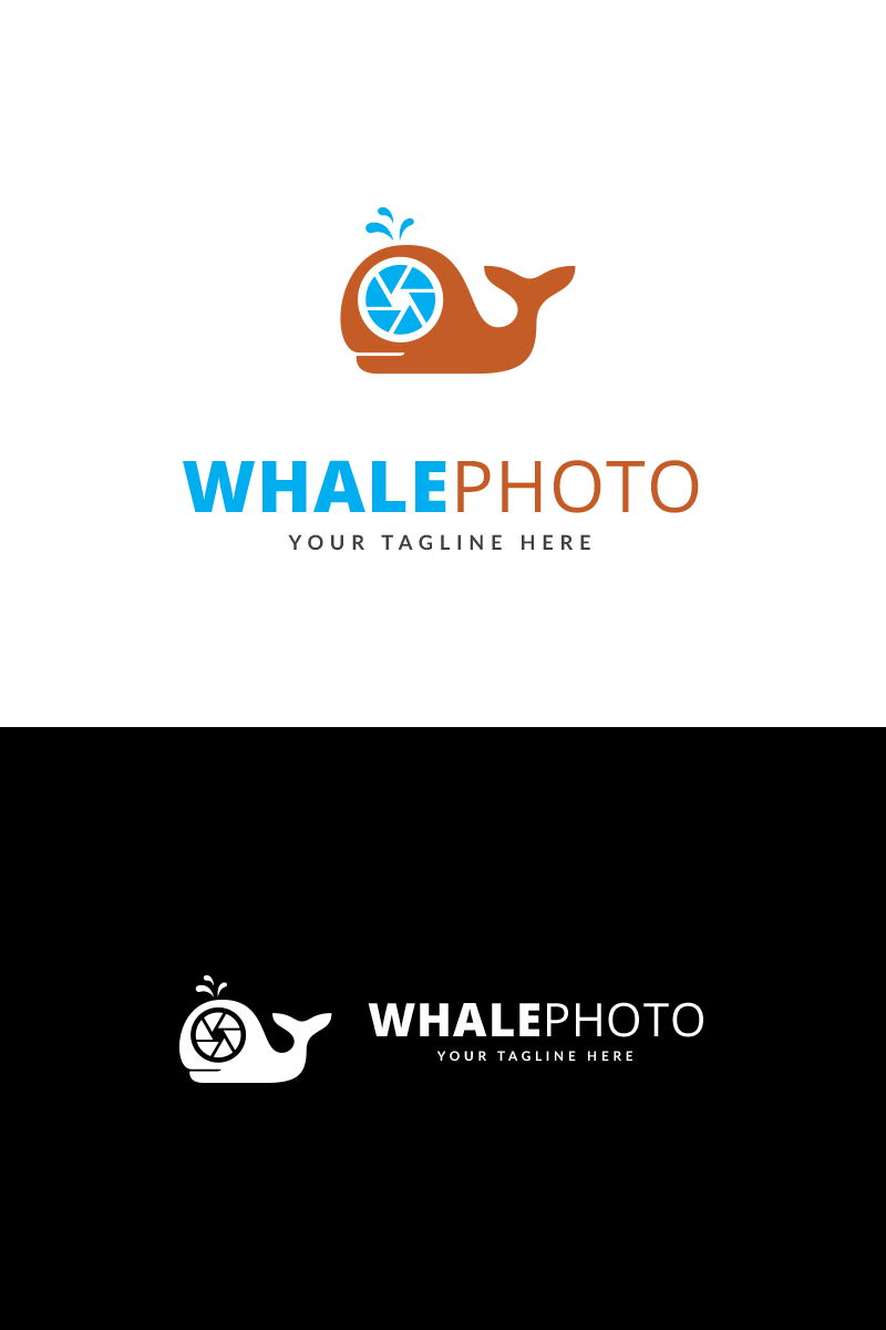 Whale Photo Logo Logo Template