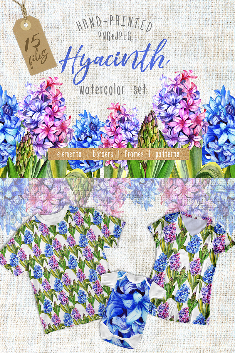 Colorful Hyacinth PNG Watercolor - Illustration