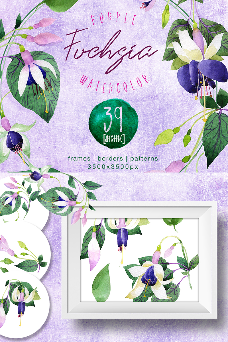 Purple Fuchsia PNG Watercolor Flower Set - Illustration