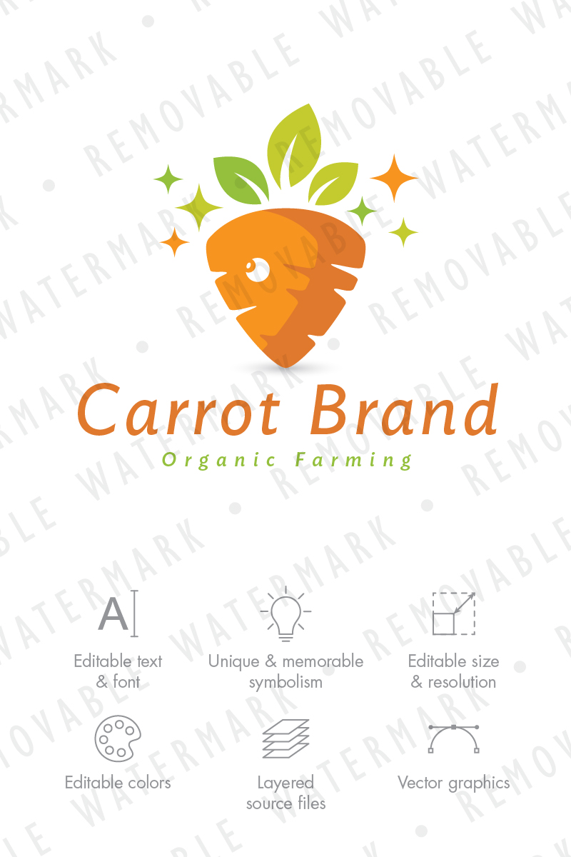 Healthy Carrot Logo Template