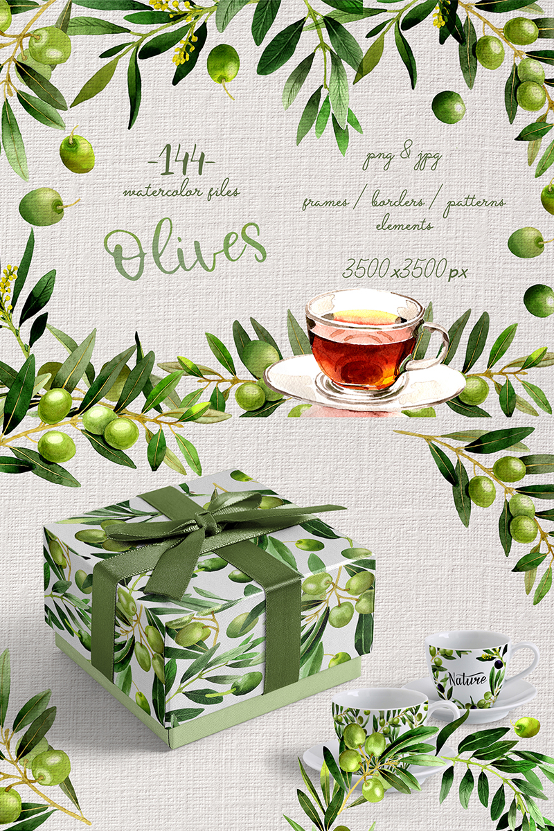 Branches of Olive Tree PNG Watercolor Set - Illustration