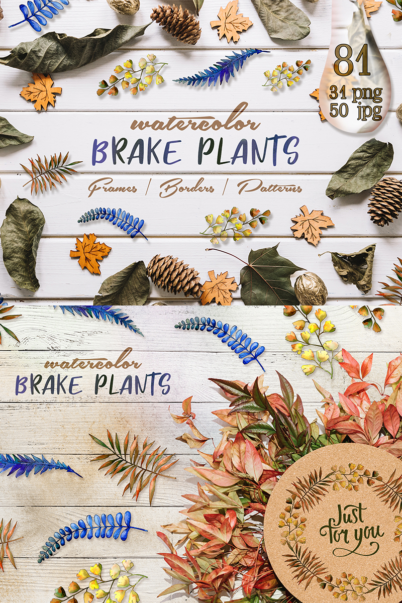 Brake Plants PNG Watercolor Set - Illustration