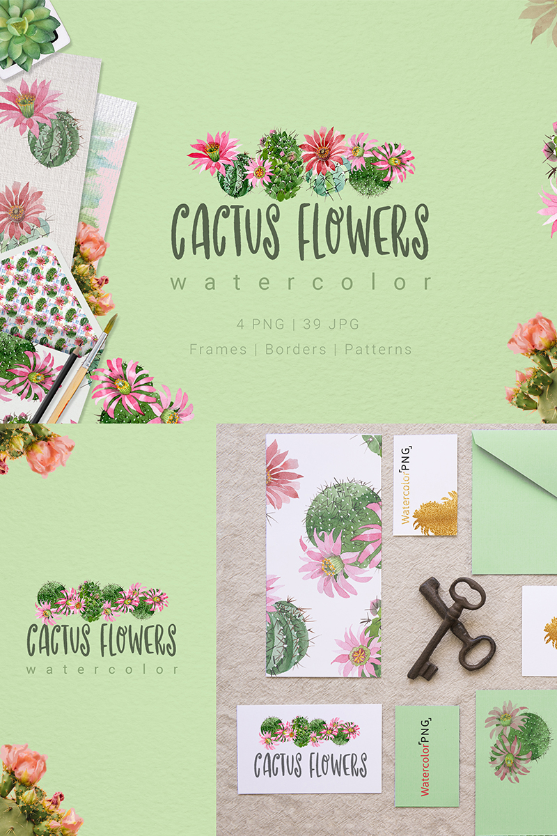 Cactus Flowers Watercolor Set - Illustration
