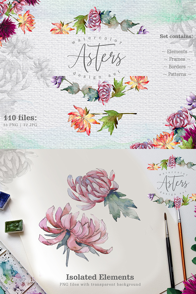 Watercolor Asters PNG Design Set - Illustration
